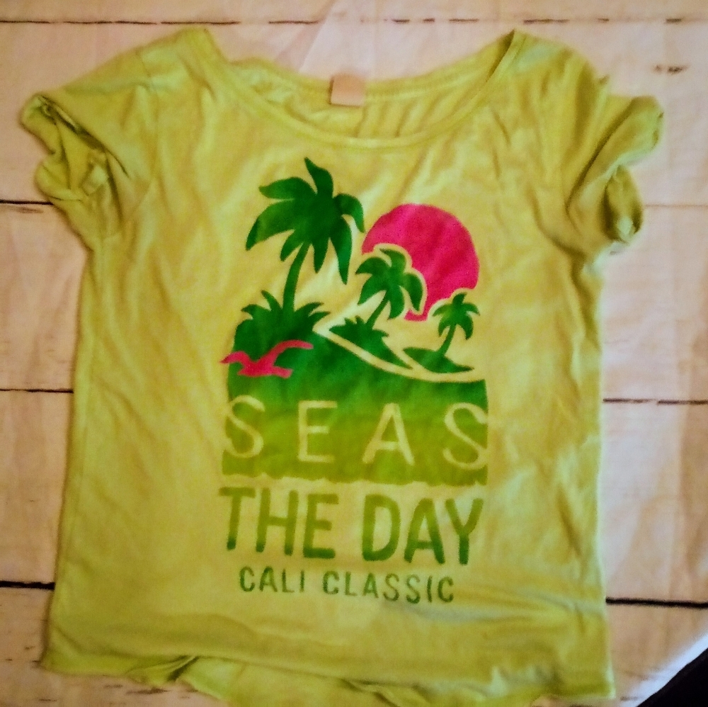 Green Hollister short sleeve shirt size:Small